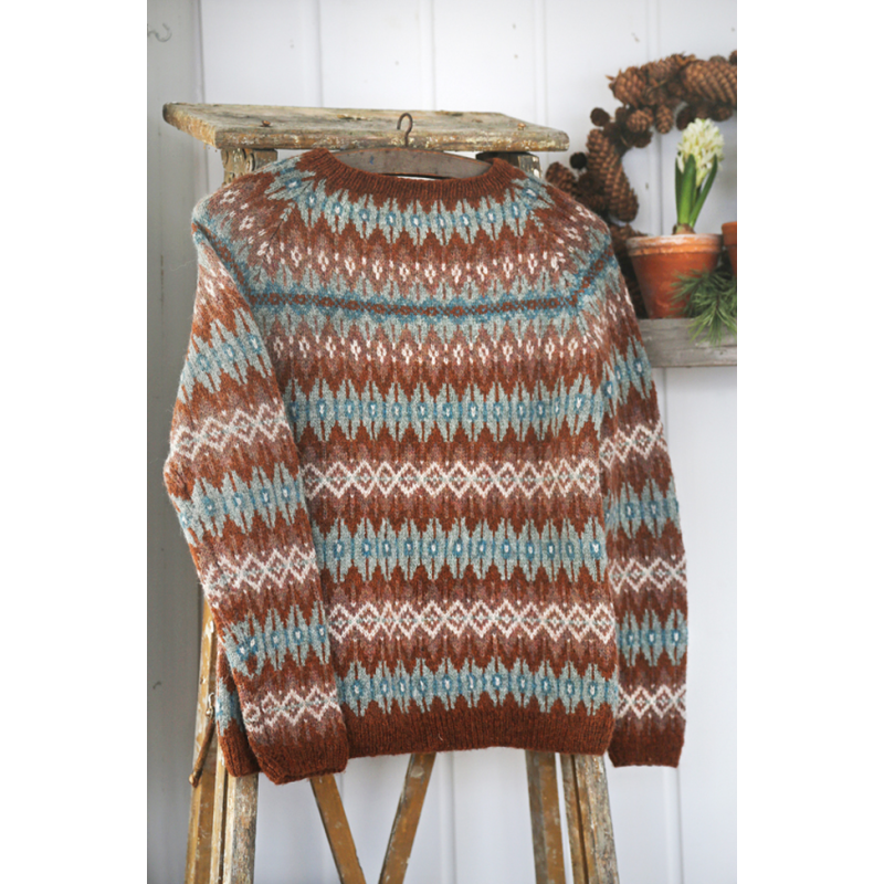 Tricot jacquard - 17 modèles dont 12 cardigans et leurs déclinaisons Livre Tricot