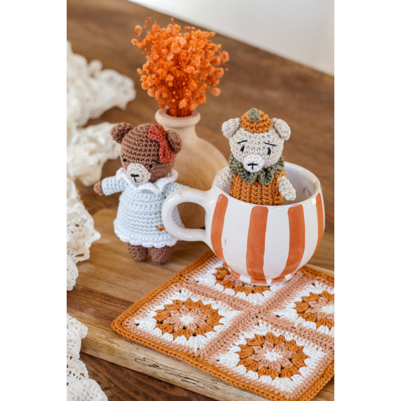 L'automne cosy d'AnnaB au crochet : 12 projets Livre Crochet