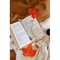 L'automne cosy d'AnnaB au crochet : 12 projets Livre Crochet