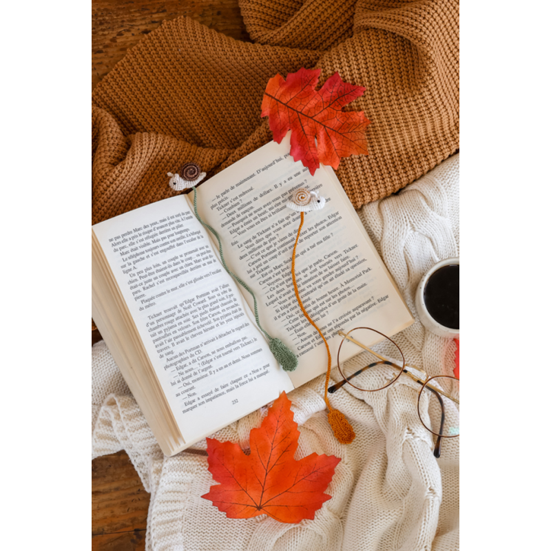 L'automne cosy d'AnnaB au crochet : 12 projets Livre Crochet