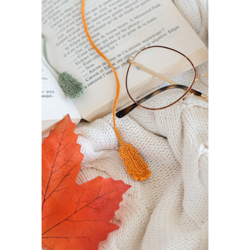 L'automne cosy d'AnnaB au crochet : 12 projets Livre Crochet