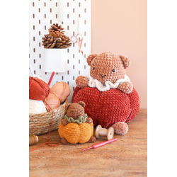 L'automne cosy d'AnnaB au crochet : 12 projets Livre Crochet