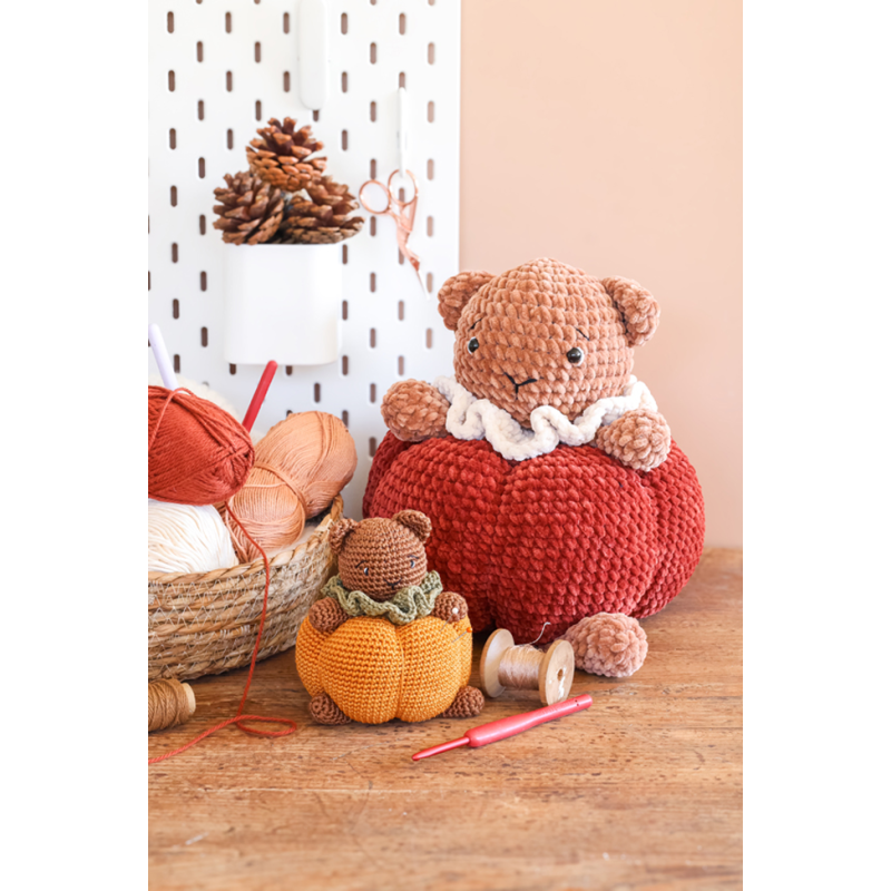 L'automne cosy d'AnnaB au crochet : 12 projets Livre Crochet