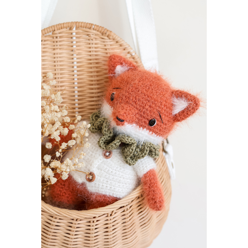 L'automne cosy d'AnnaB au crochet : 12 projets Livre Crochet