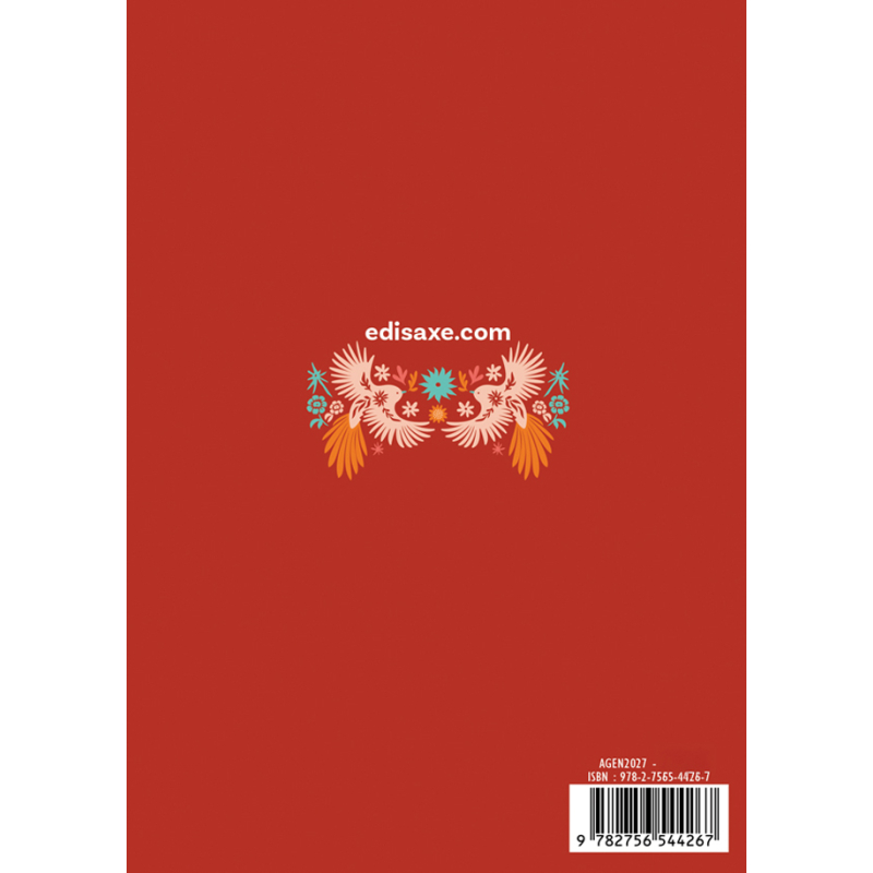 Agenda créatif 2027 Livre DIY
