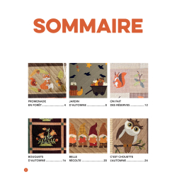 Douceurs d'automne quiltées Livre Patchwork