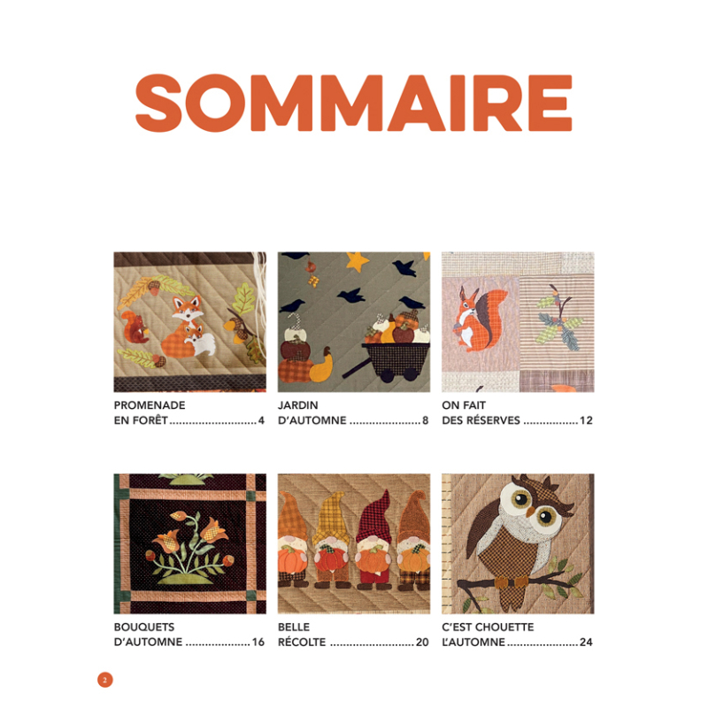 Douceurs d'automne quiltées Livre Patchwork