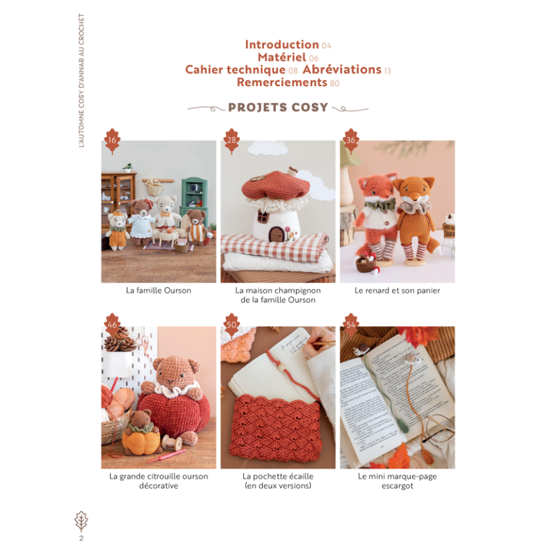 L'automne cosy d'AnnaB au crochet : 12 projets Livre Crochet