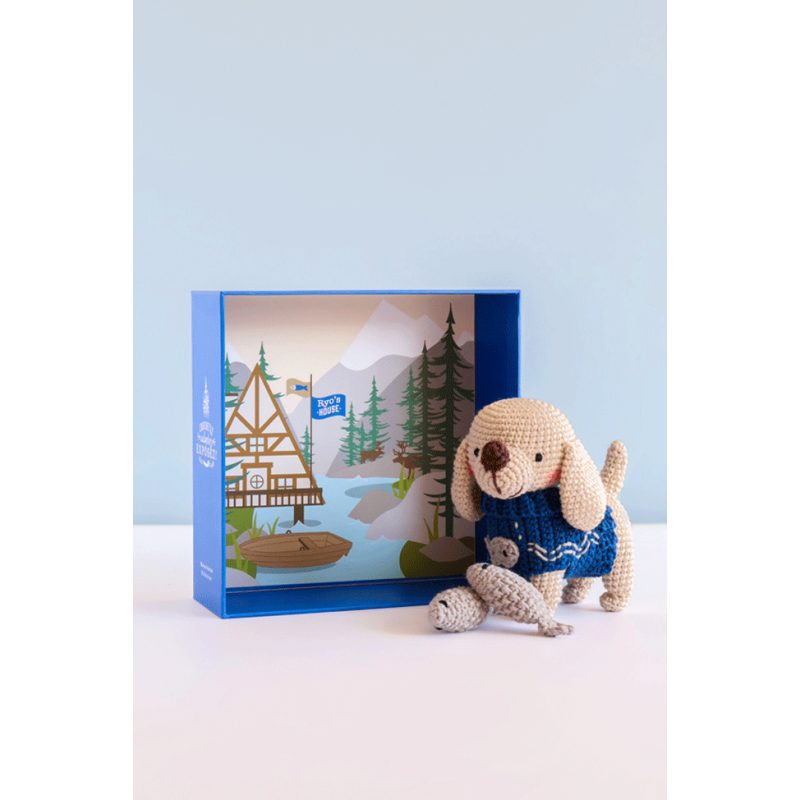 Coffret Ryo le labrador au crochet - Occasion Kit livres coffrets defraichis