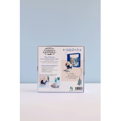 Coffret Ryo le labrador au crochet - Occasion Kit livres coffrets defraichis