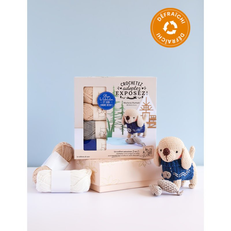 Coffret Ryo le labrador au crochet - Occasion Kit livres coffrets defraichis