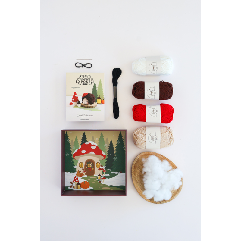 Coffret Hérisson - Crochetez, adoptez, exposez ! Kit Crochet