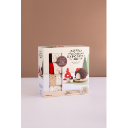 Coffret Hérisson - Crochetez, adoptez, exposez ! Kit Crochet