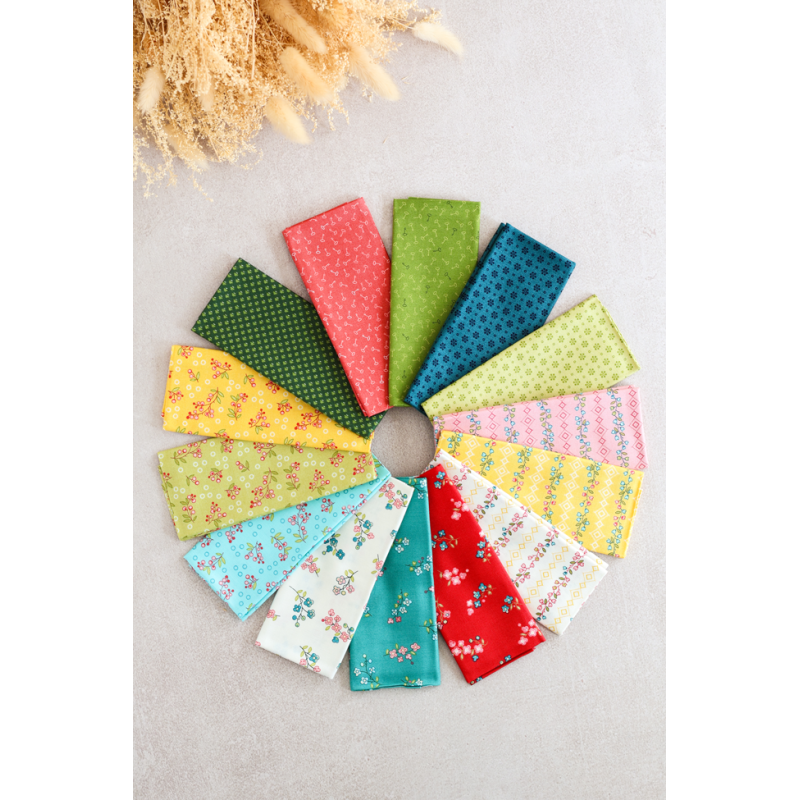 Lot de tissus patch d'Ellen