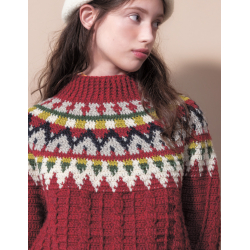 Pulls crochet col rond Livre Crochet