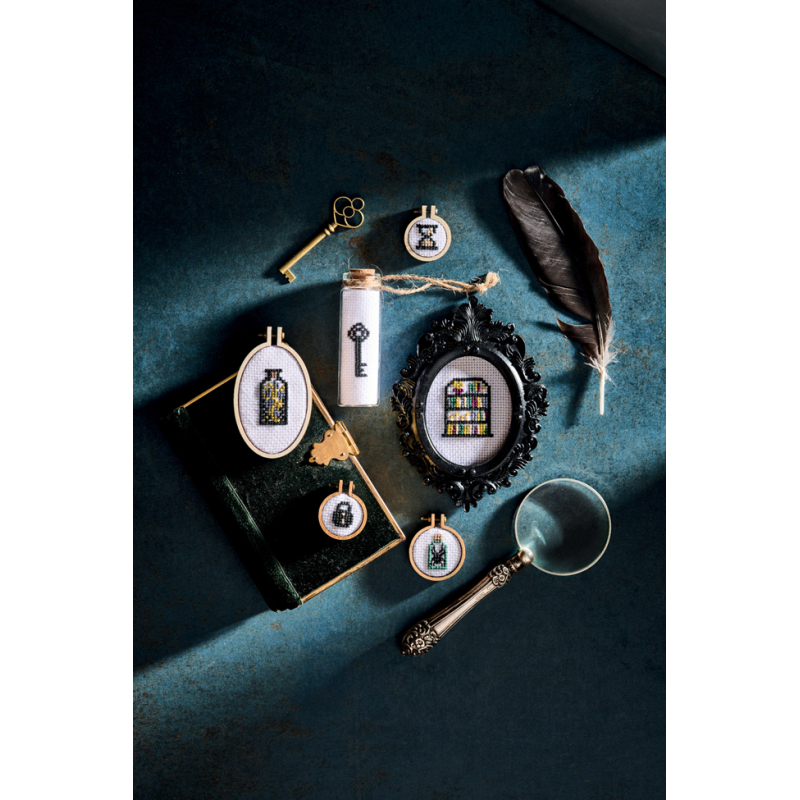 Cabinet de curiosités au point de croix Livre Broderie