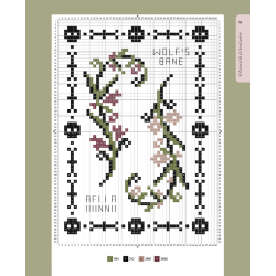 Cabinet de curiosités au point de croix Livre Broderie