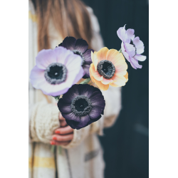 Les fleurs en papier - Devenir expert Livre DIY