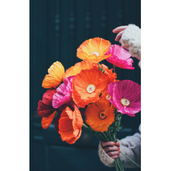 Les fleurs en papier - Devenir expert Livre DIY