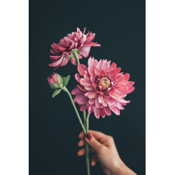 Les fleurs en papier - Devenir expert Livre DIY