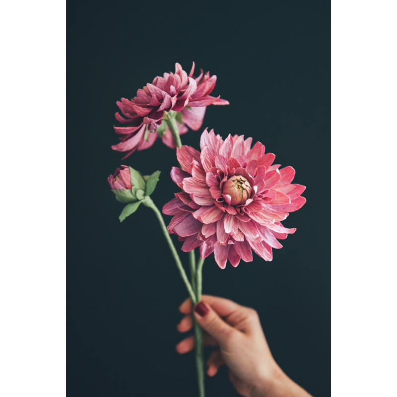 Les fleurs en papier - Devenir expert Livre DIY