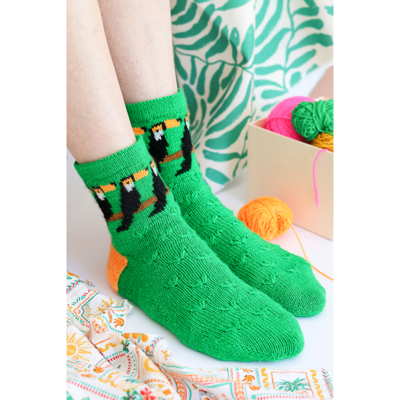 Le guide des chaussettes autour du monde au tricot jacquard Livre Tricot