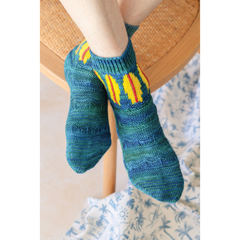 Le guide des chaussettes autour du monde au tricot jacquard Livre Tricot