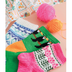 Le guide des chaussettes autour du monde au tricot jacquard Livre Tricot