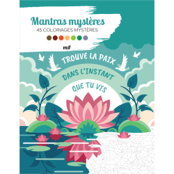 Mantras mystères - 45 coloriages mystères Livre Beaux-arts