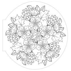 Mandalas Végétaux - Collection signature Livre Beaux-arts