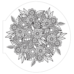 Mandalas Végétaux - Collection signature Livre Beaux-arts