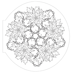 Mandalas Végétaux - Collection signature Livre Beaux-arts