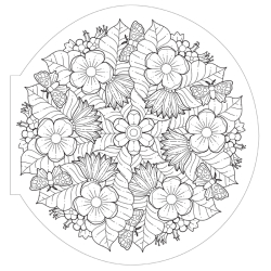 Mandalas Végétaux - Collection signature Livre Beaux-arts