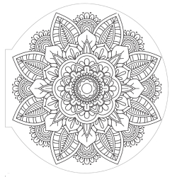Mandalas - Collection signature Livre Beaux-arts