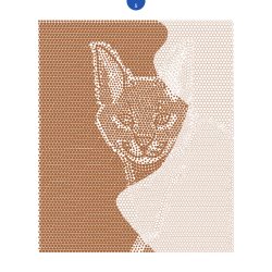 Animaux, spécial ronds - 45 coloriages mystères Livre Beaux-arts