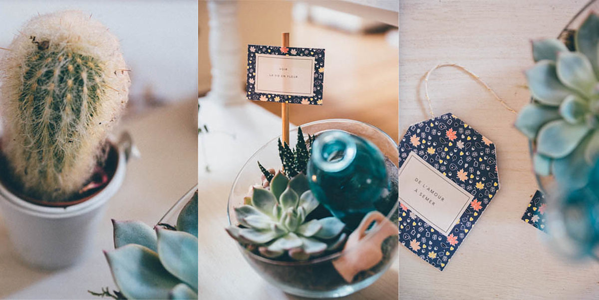 Kit de graines par Vie de miettes
