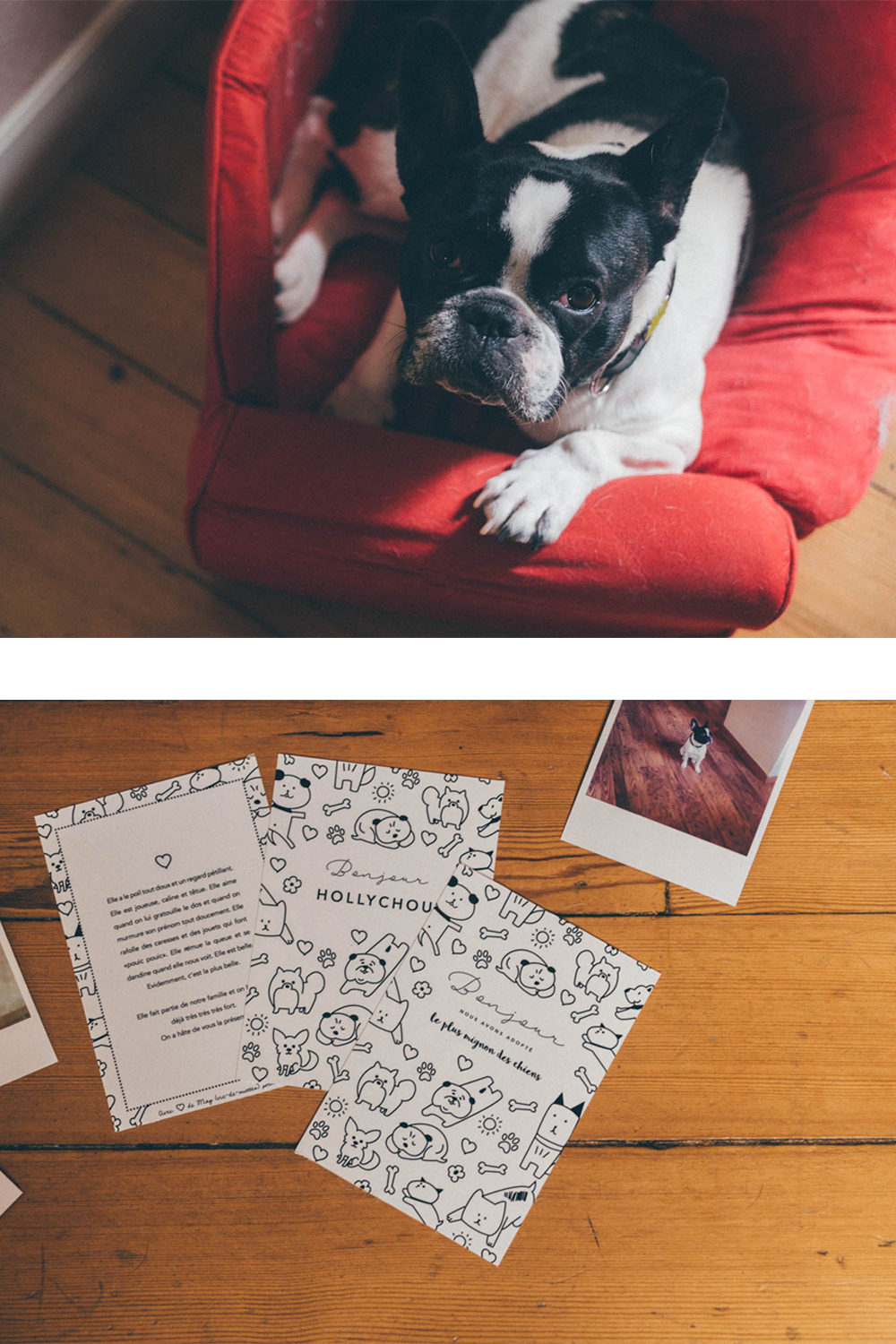 Faire part pour chien à imprimer