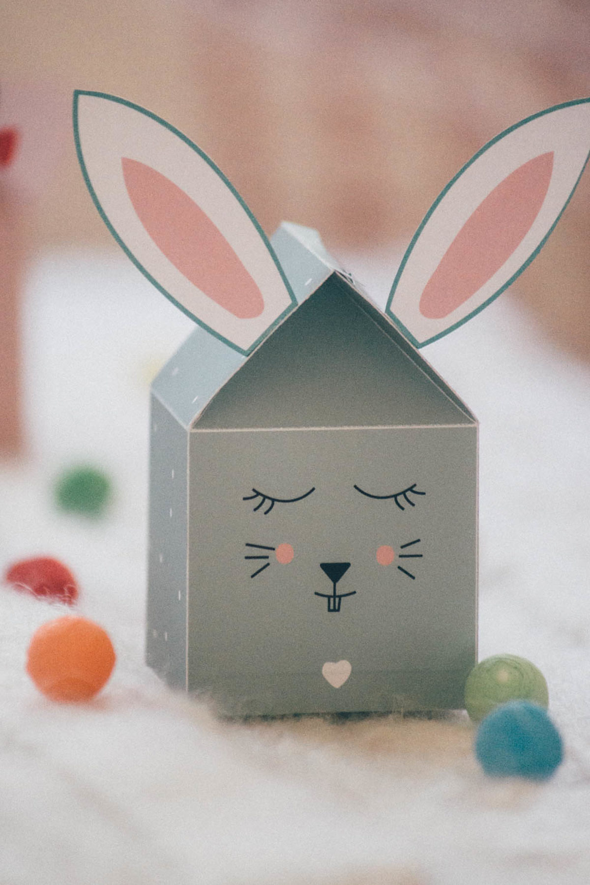 boite-animaux-vie-de-miettes-6