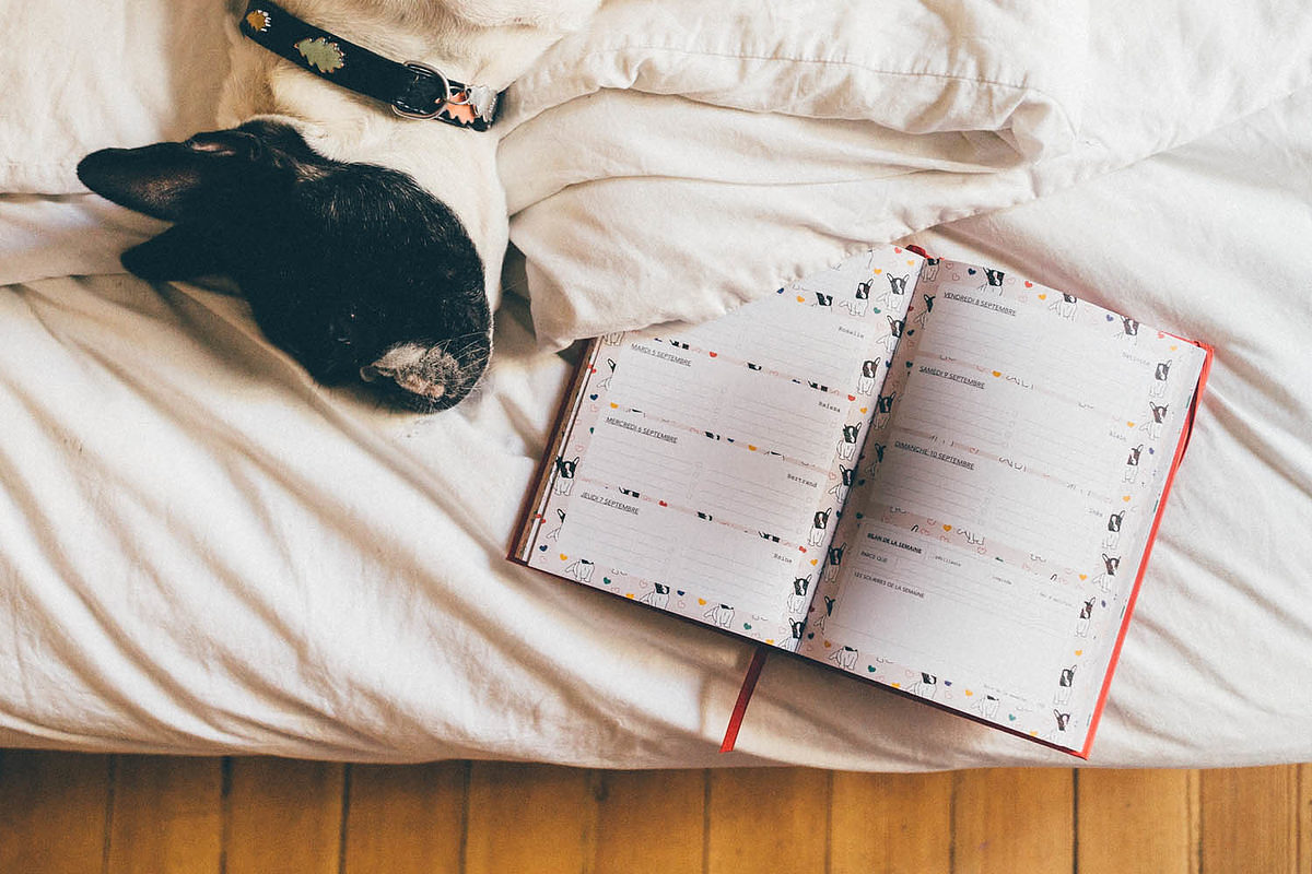 Agenda de Vie de miettes