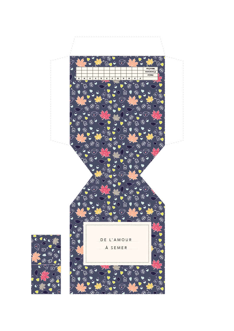 kit-graines-planter-viedemiettes5