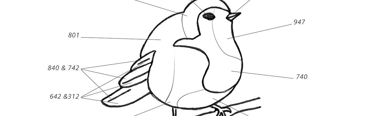 oiseau-extrait