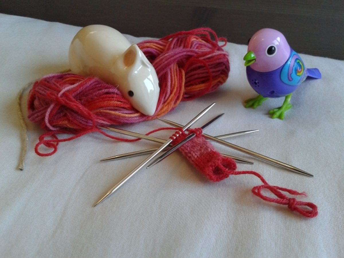 mldi294_oiseaux tricot1