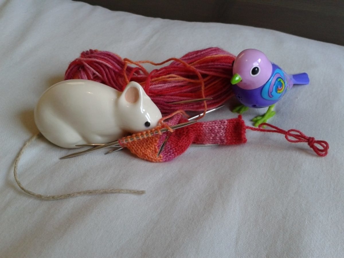 mldi294_oiseaux tricot2