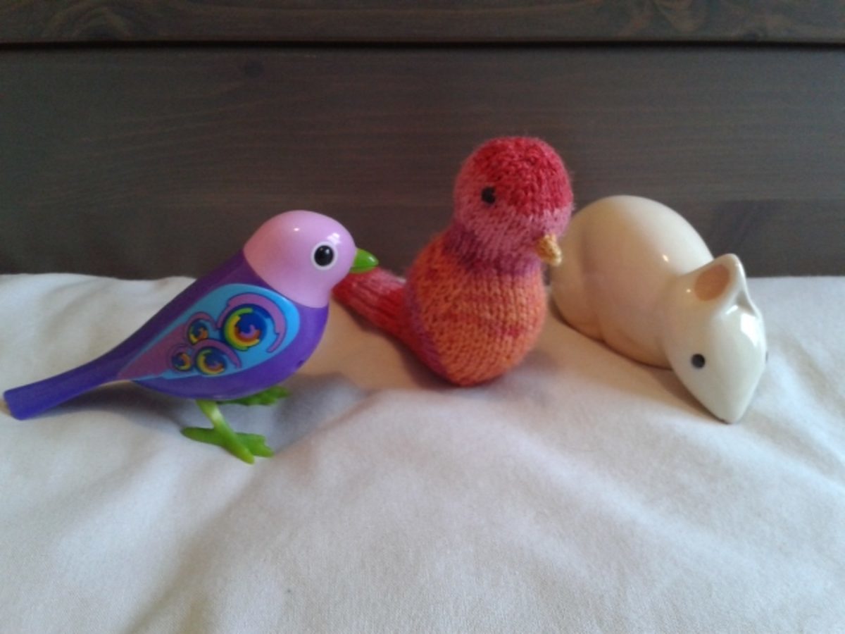 mldi294_oiseaux tricot4