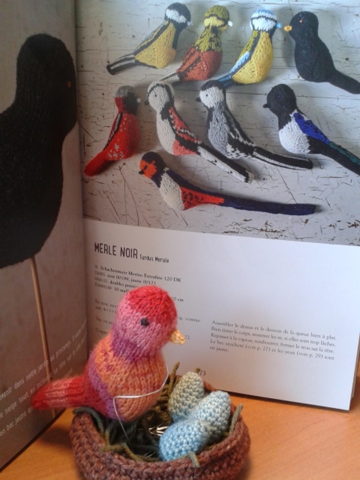 MLDI294_oiseaux tricot 5