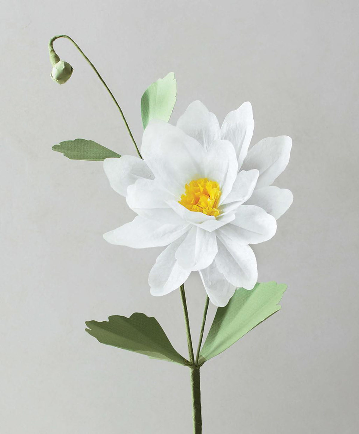 MLDI311 fleurs en papier DIY