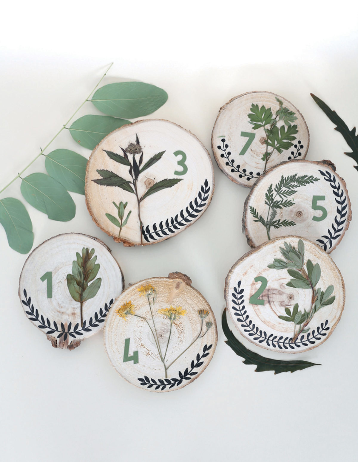 Herbiers animés marque-places Hélène Jourdain