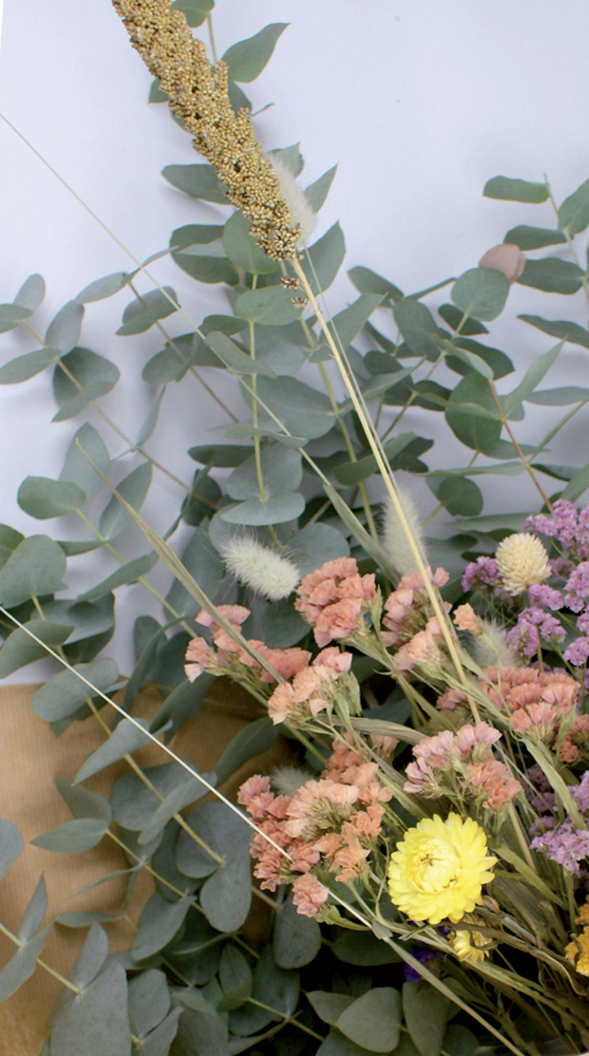 herbier étape de cueillette