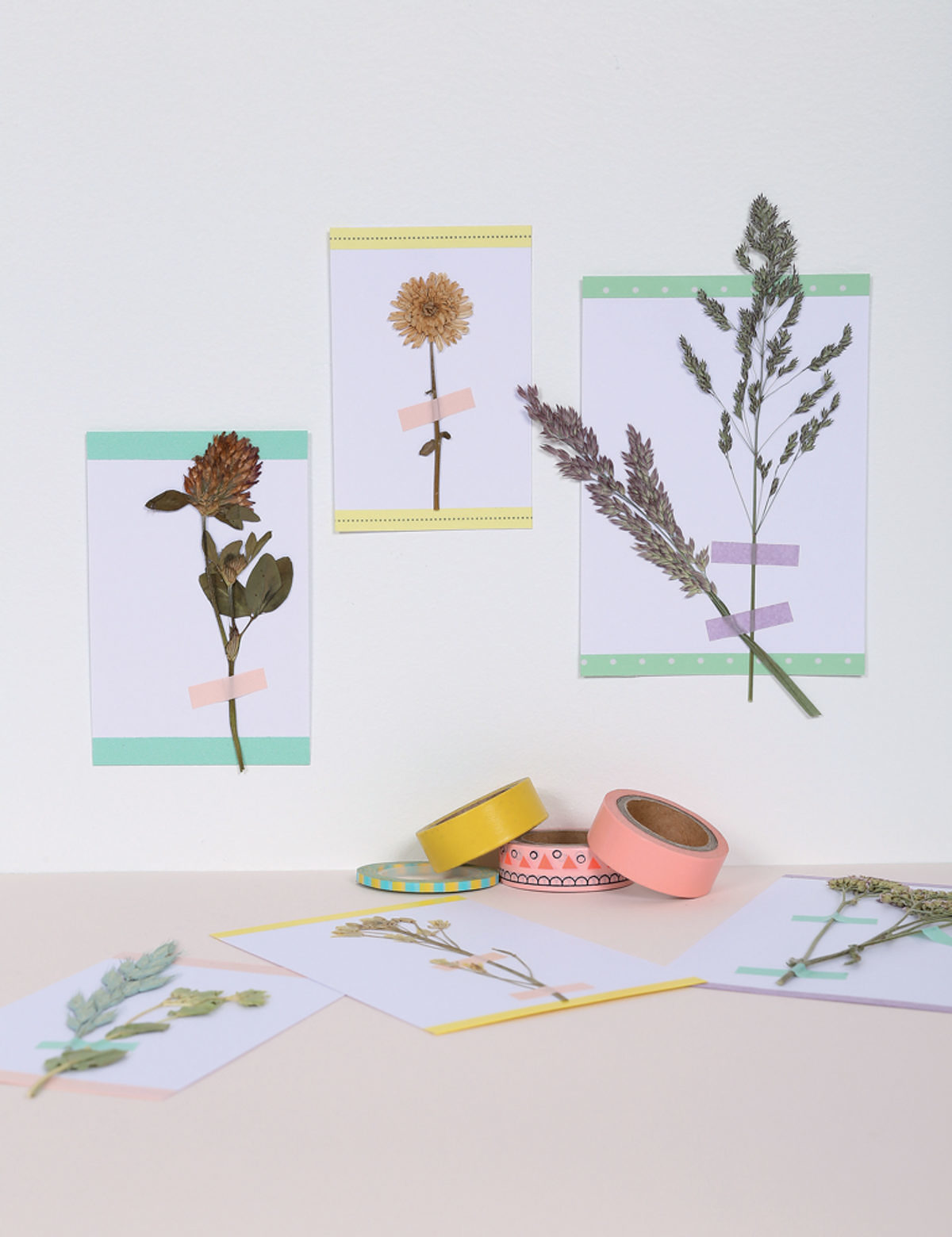 Herbiers Cartes Hélène Jourdain