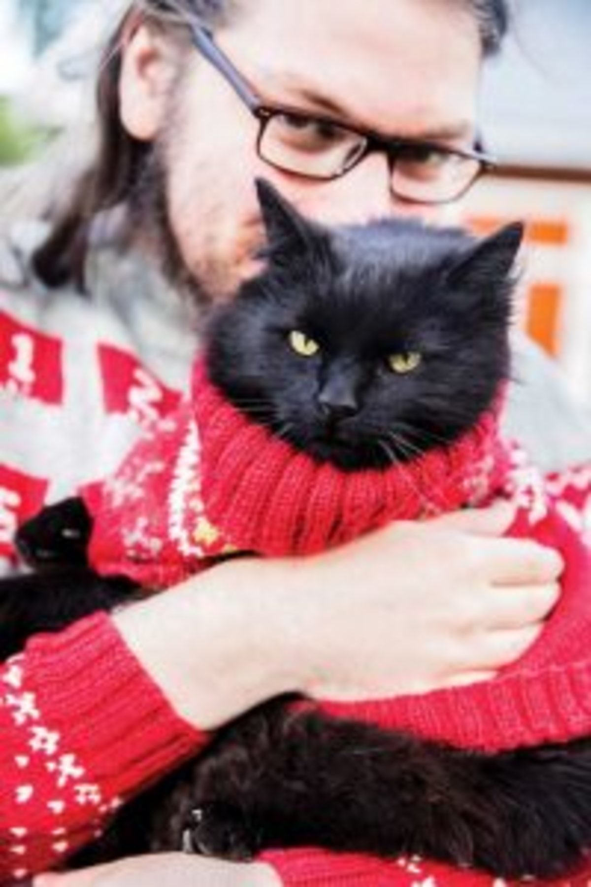 Pull de Noel au tricot pour chat